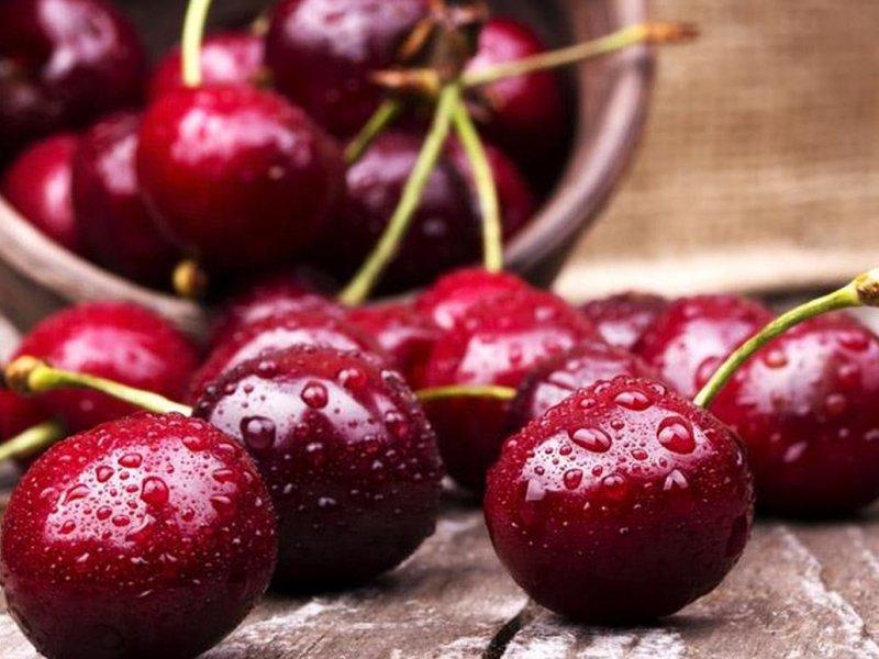 Вишня купить саженцы из питомника в Ухте